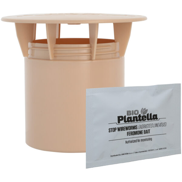 Wireworm Trap with pheromone