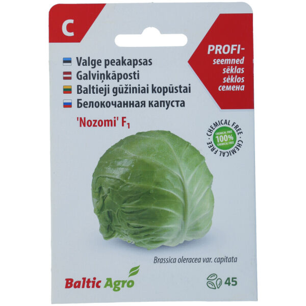Early Cabbage Seeds 'Nozomi'
