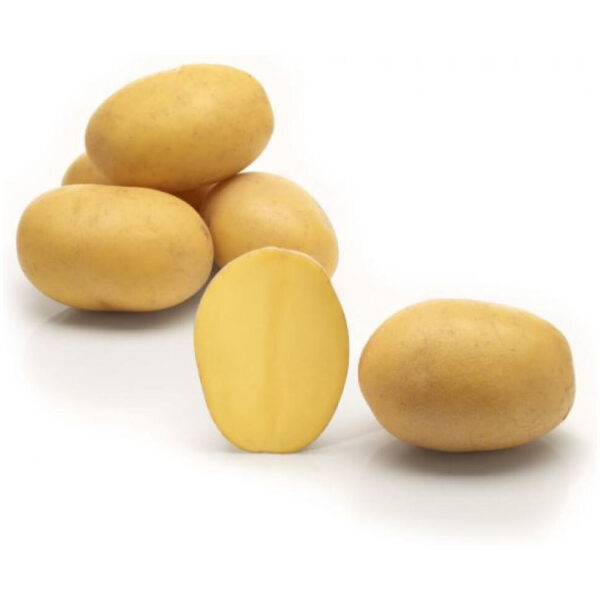 Seemnekartul 'Lilly' 2,5 kg
