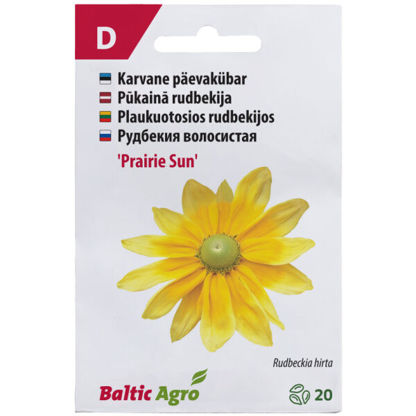 Päevakübar 'Prairie Sun'