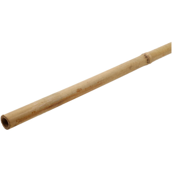 Plant Bamboo Garden Stake 2,1 m