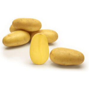 Seemnekartul 'Sunshine' 2,5 kg