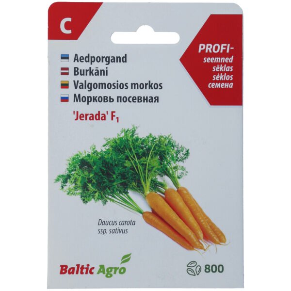 Carrot Seeds 'Jerada' F1