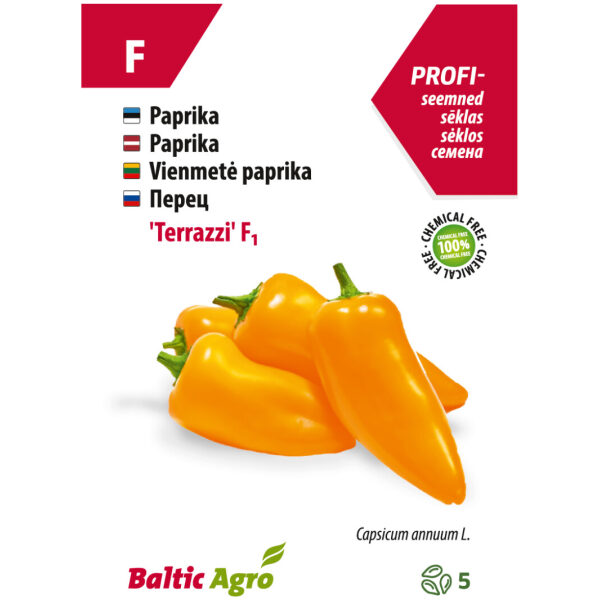 Minipaprika 'Terrazzi' F1