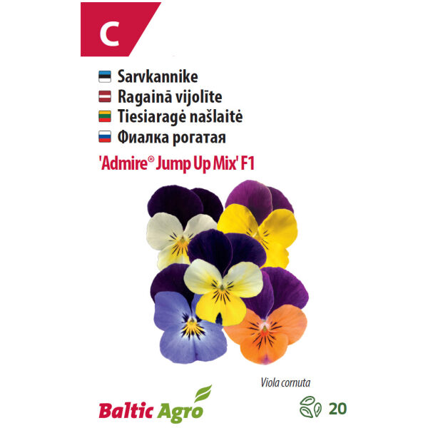 Viola 'Admire® Jump Up'