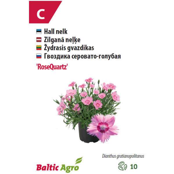 Nelk 'RoseQuartz'