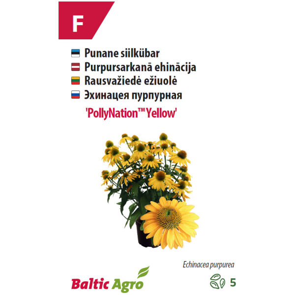 Siilkübar 'PollyNation™ Yellow '