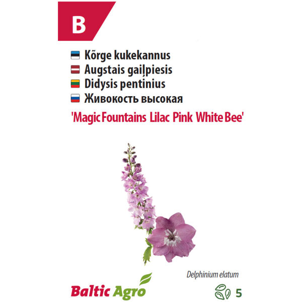 Kukekannus 'MF Lilac Pink White Bee'