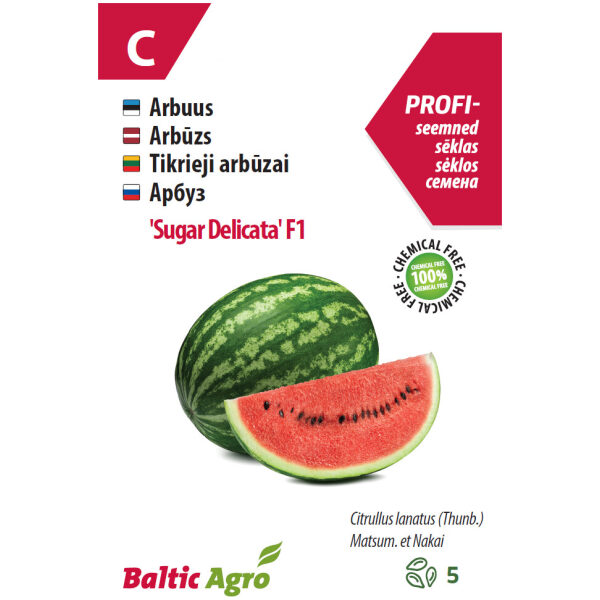 Arbuus 'Sugar Delicata' F1, 5 s
