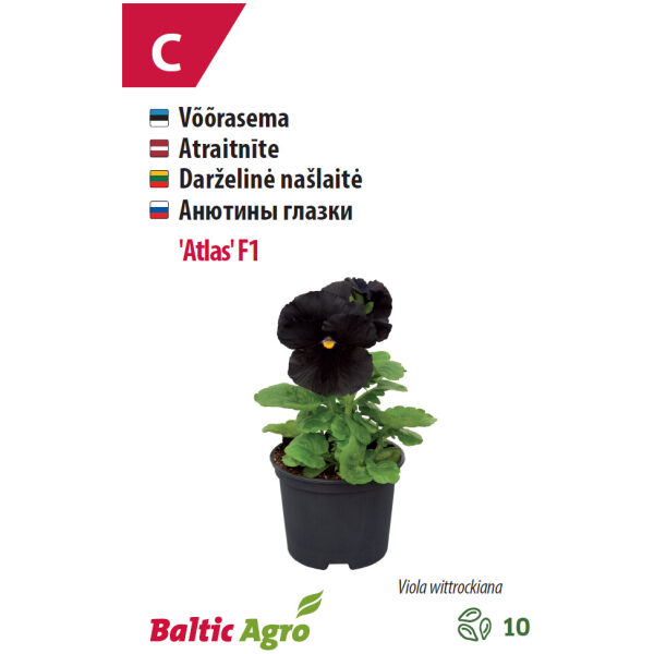 Võõrasema 'Atlas' F1