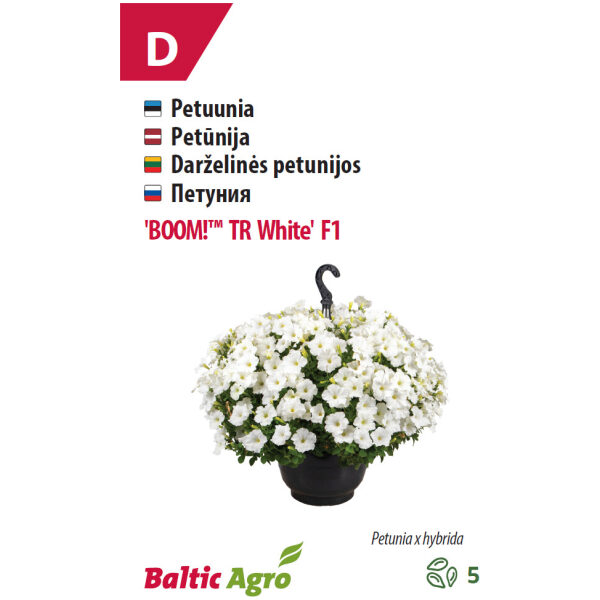 Petuunia 'BOOM!™ TR White' F1