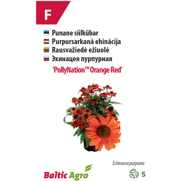 Siilkübar 'PollyNation™ Orange Red'