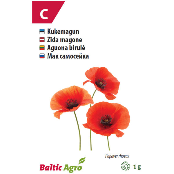 Papaver /Papaver rhoeas