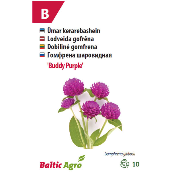 Kerarebashein 'Buddy Purple'
