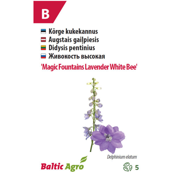 Kukekannus 'MF Lavender White Bee'