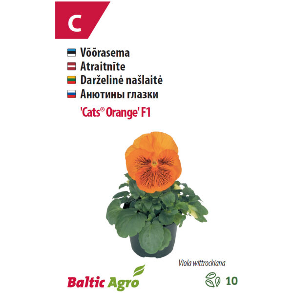 Võõrasema 'Cats® Orange' F1