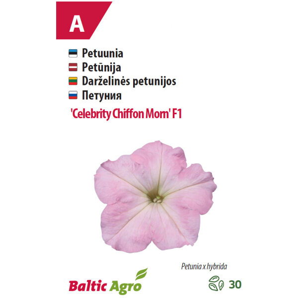 Petuunia 'Celebrity Chiffon Morn' F1