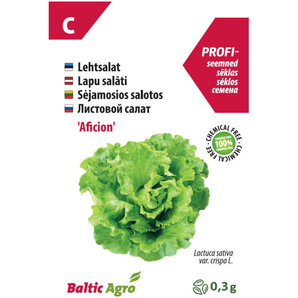 Lehtsalat 'Aficion'