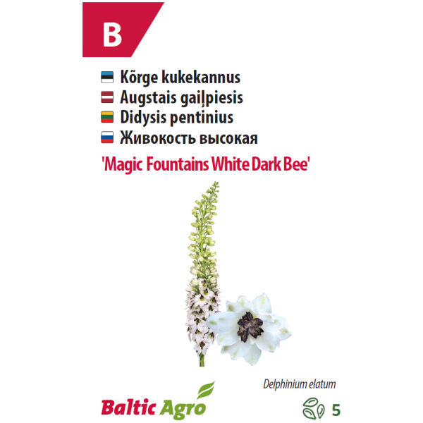 Kukekannus 'MF White Dark Bee'