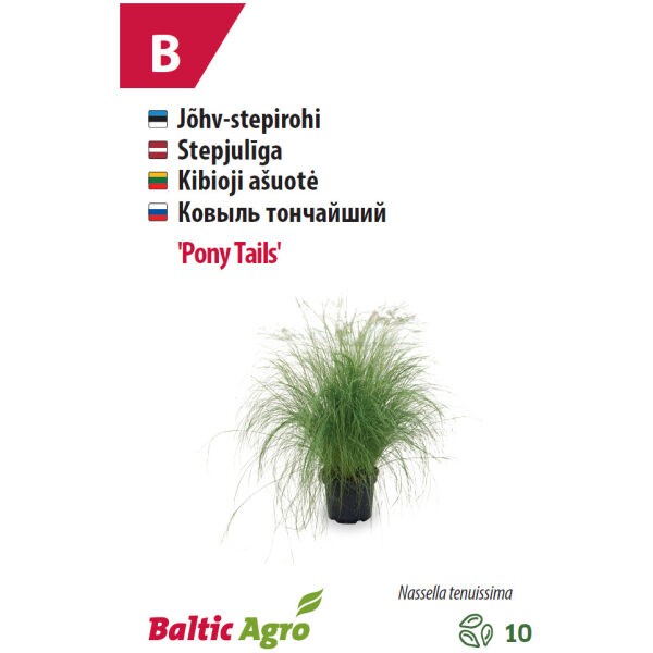 Stepirohi 'Pony Tails '