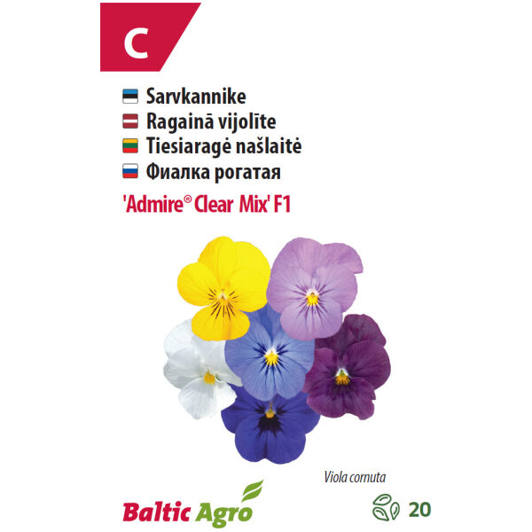 Viola 'Admire® Clear'