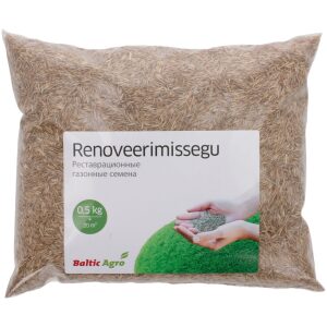 Renoveerimissegu 500 g