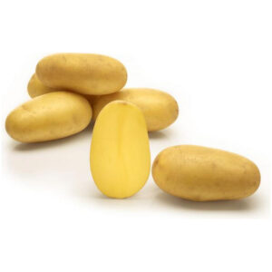 Seemnekartul 'Sunshine' 5 kg