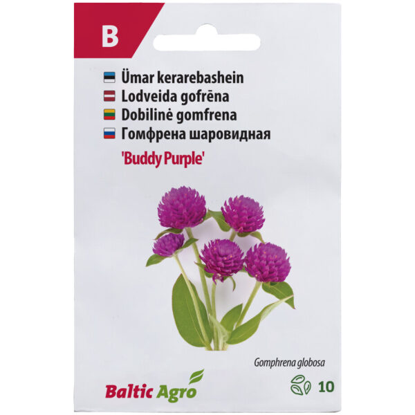 Гомфрена шаровидная 'Buddy Purple'