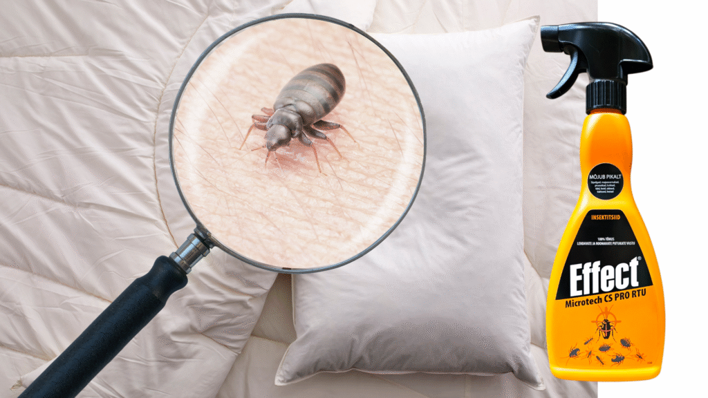 Voodilutikate tõrje