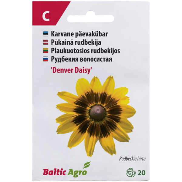 Päevakübar 'Denver Daisy'