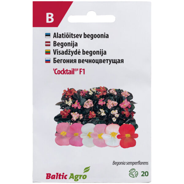 Begoonia 'Cocktail'®