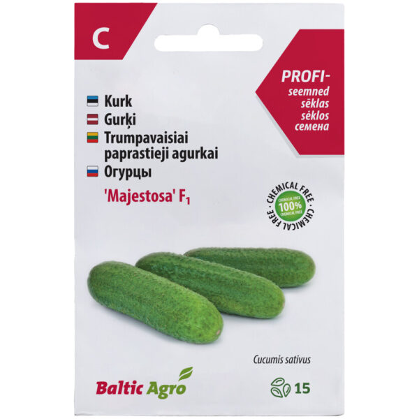 Kurk 'Majestosa' F1