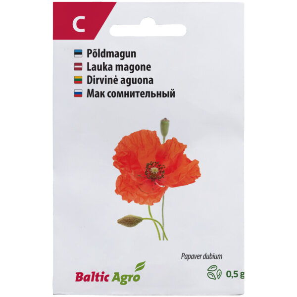 Magun, põldmagun