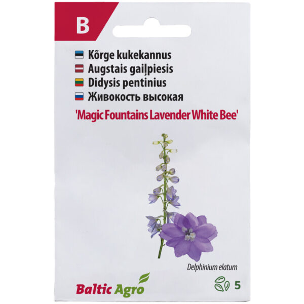 Kukekannus 'MF Lavender White Bee'