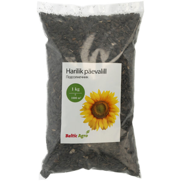 Päevalill 1 kg