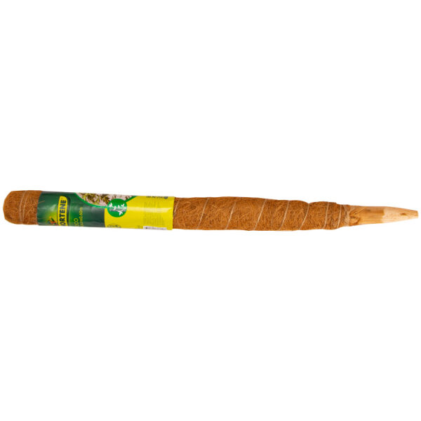 Kookosest taimetugi 60 cm