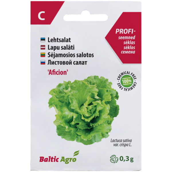 Lehtsalat 'Aficion'