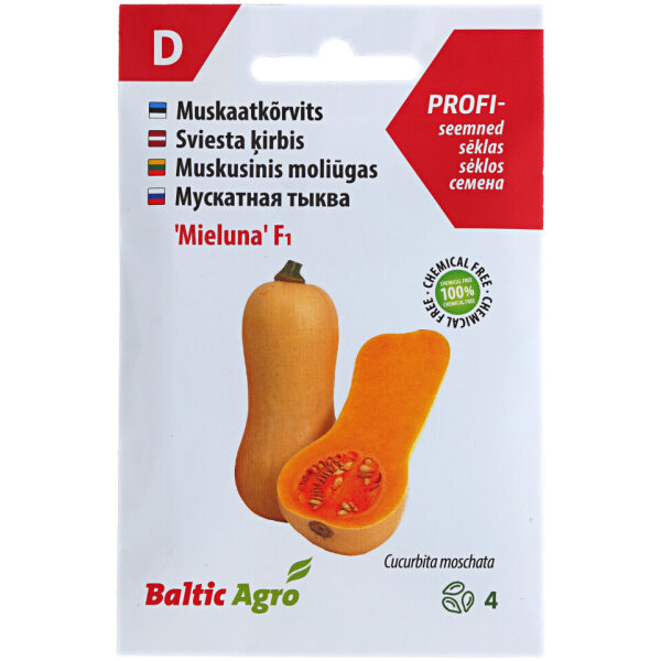 Muskaatkõrvits 'Mieluna' F1