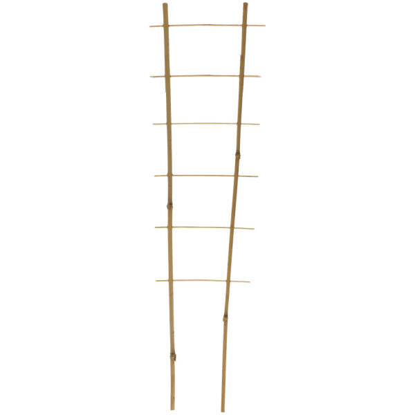Taimeredel 150 cm