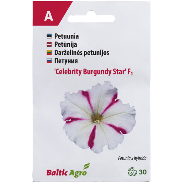 Petuunia 'Celebrity Burgundy Star'