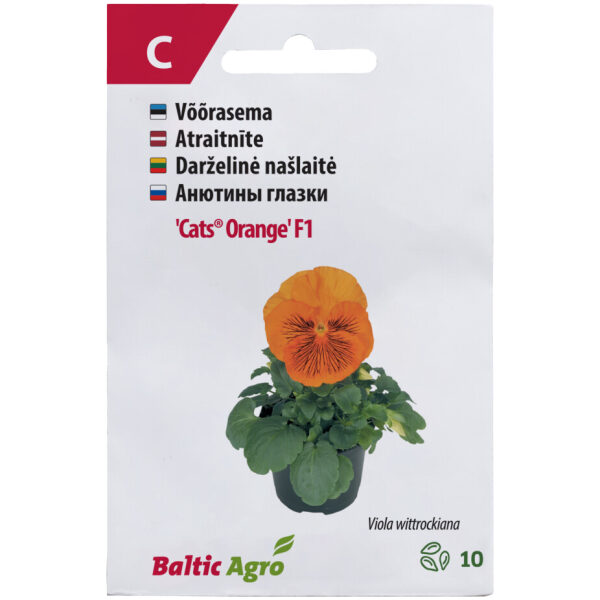 Võõrasema 'Cats Orange' F1