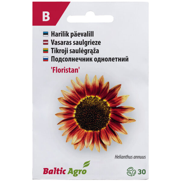 Päevalill 'Floristan'