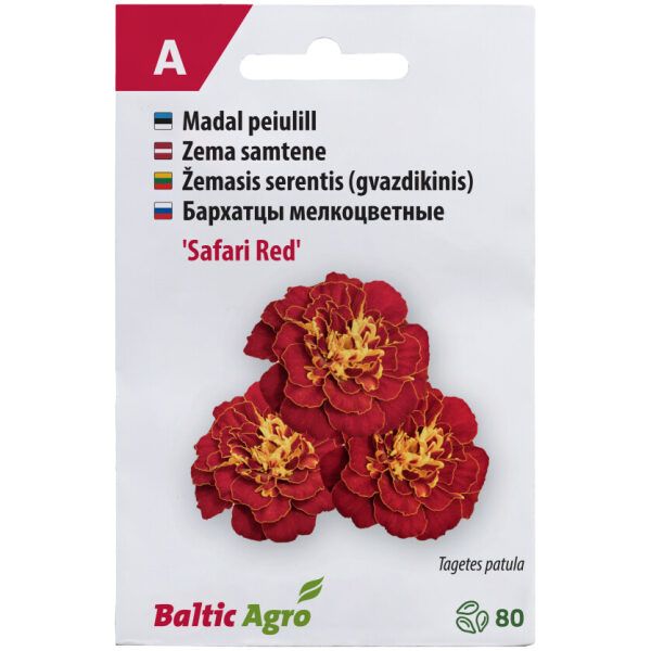 Marigold 'Safari Red'