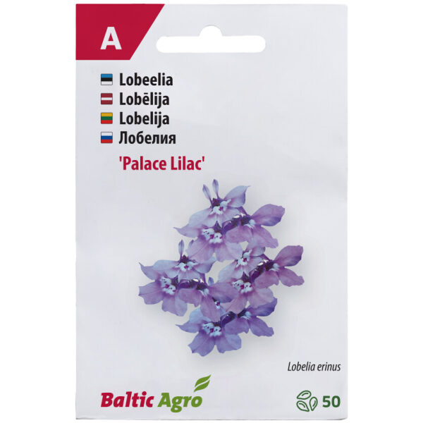 Lobelia 'Lilac Palace'