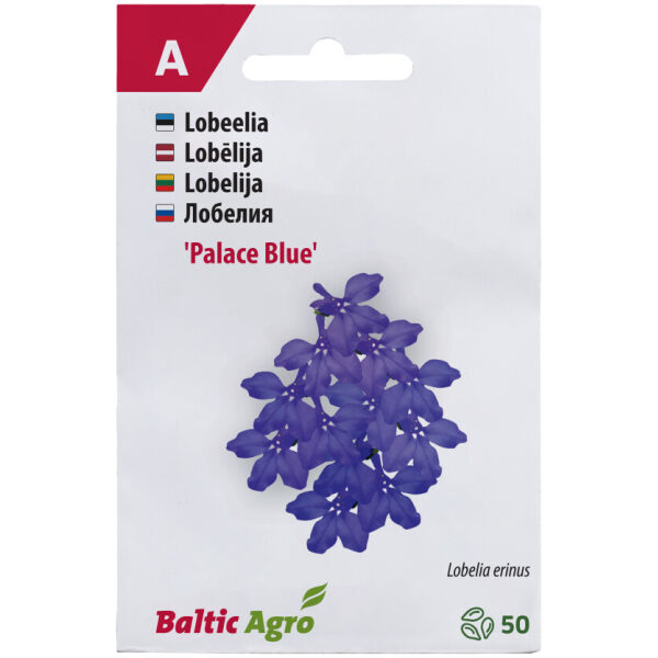Lobelia 'Blue Palace'