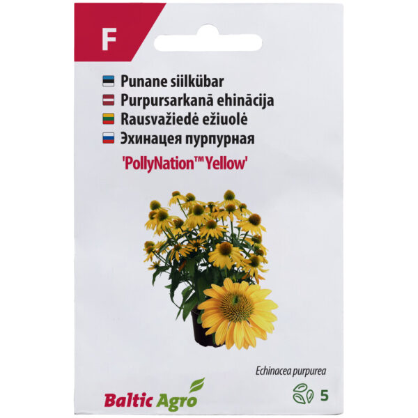 Purple coneflower 'PollyNation™ Yellow '