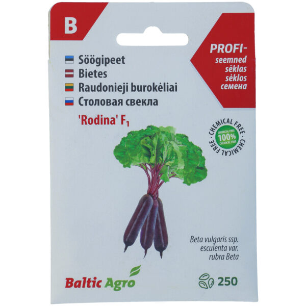 Beetroot Seeds 'Rodina' F1