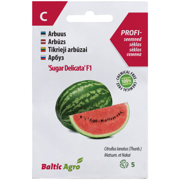 Watermelon 'Sugar Delicata' F1 5 s