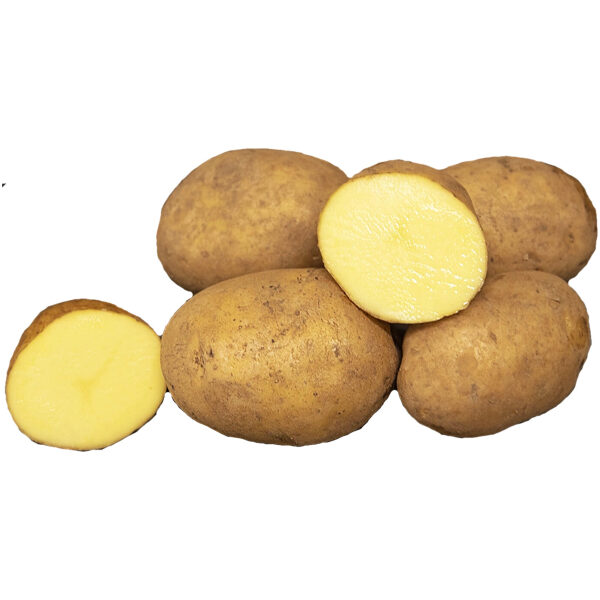Seed Potato 'Octa' 2,5 kg