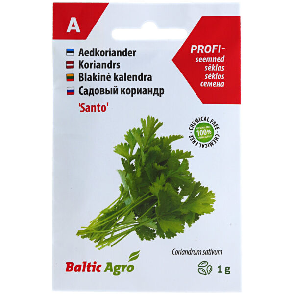 Садовый кориандр 'Santo'